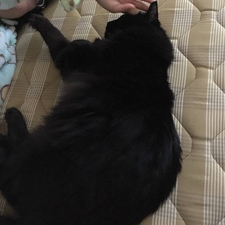 7954f471 0f82 4717 bbbe fabf44e94c8b 1517617094020