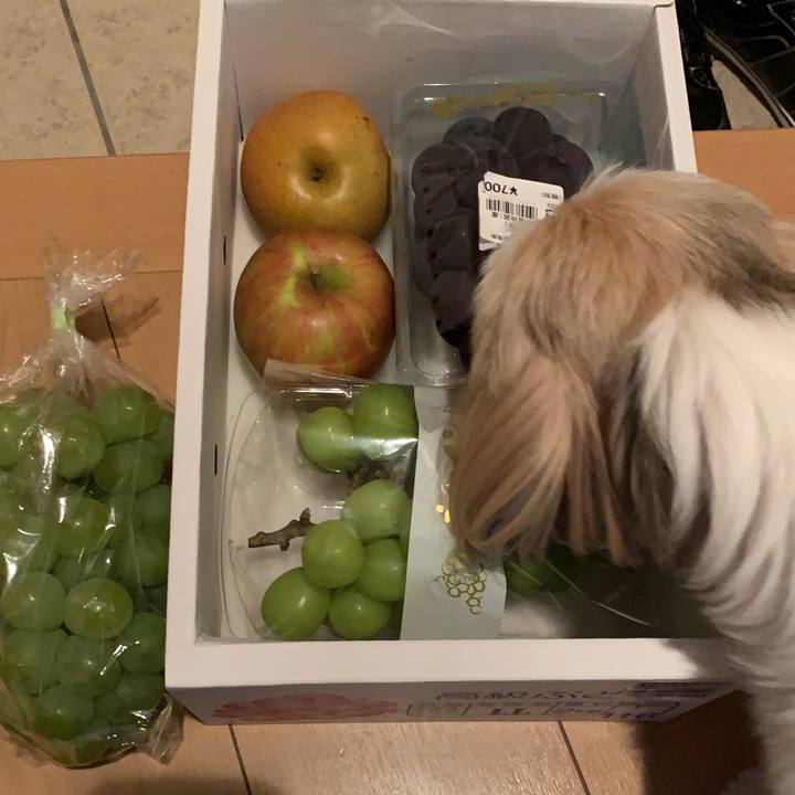 79552515 466c 472d 861c 05fc09e88cc0 1598317477459