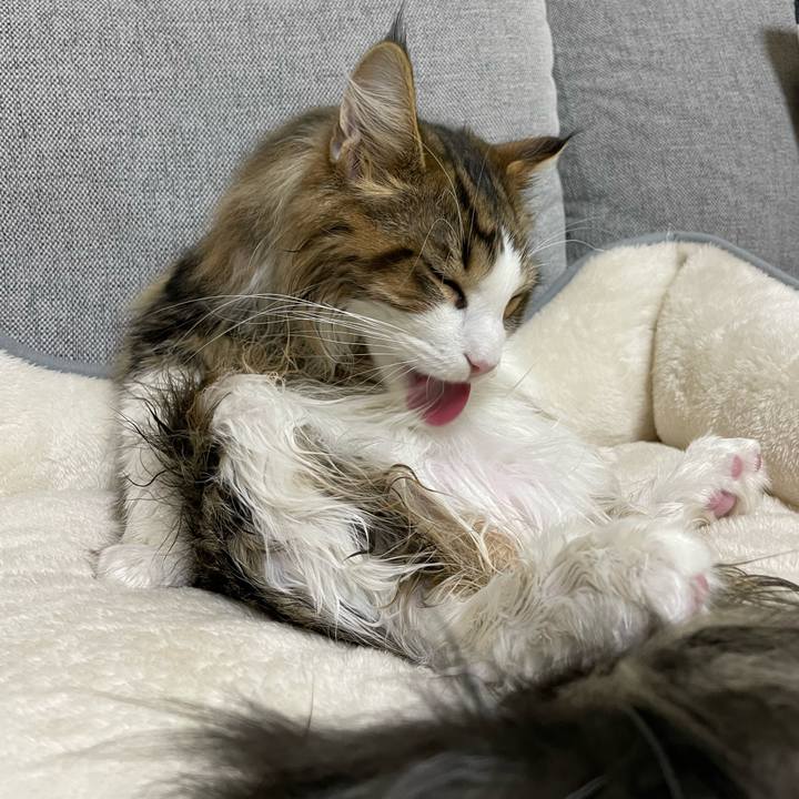 79553c16 b703 441e aced 4694fc358d8e 1640169519384