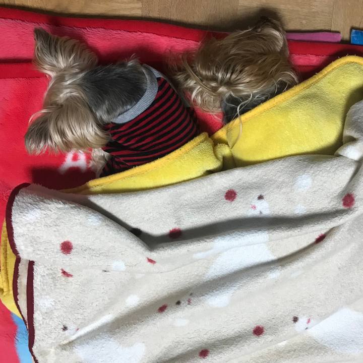 79559992 8cba 459f ba97 5c5eaeabecfa 1610102396700