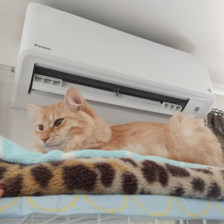 7955dd44 88ab 4d47 9847 6973e1f59eab 1637799638639