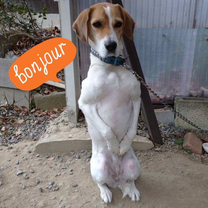 7955dfe7 4ac4 4264 b72c cc0f1db0e5a4 1607747963193