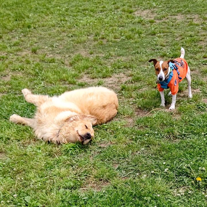 79560e3c 4a46 4e59 af6a 1755e81c3fb4 1651990392251