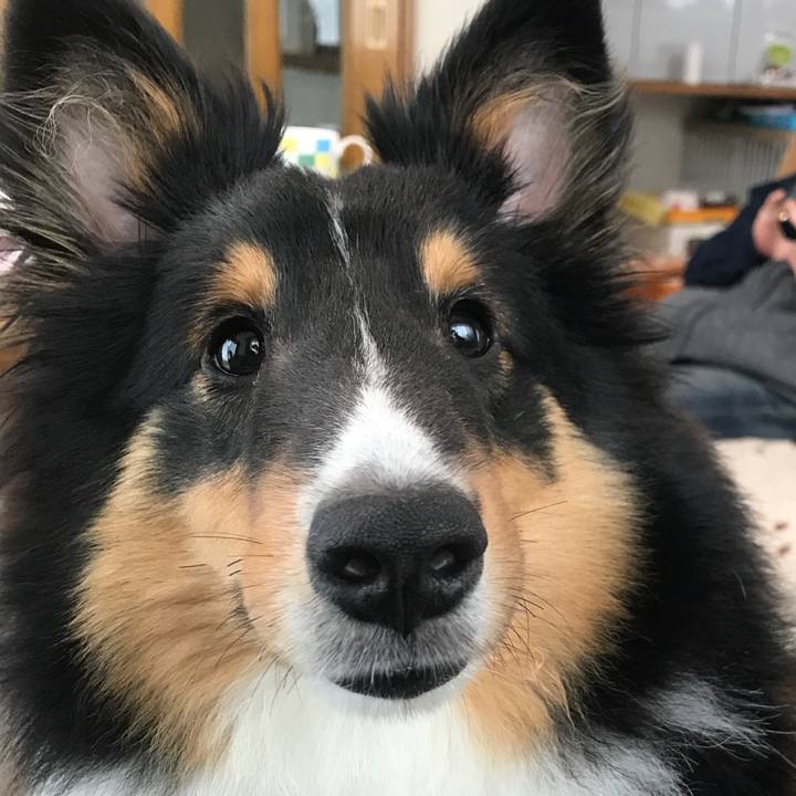 795670d9 9106 4906 922f 63dcf1a90f8f 1526685793324