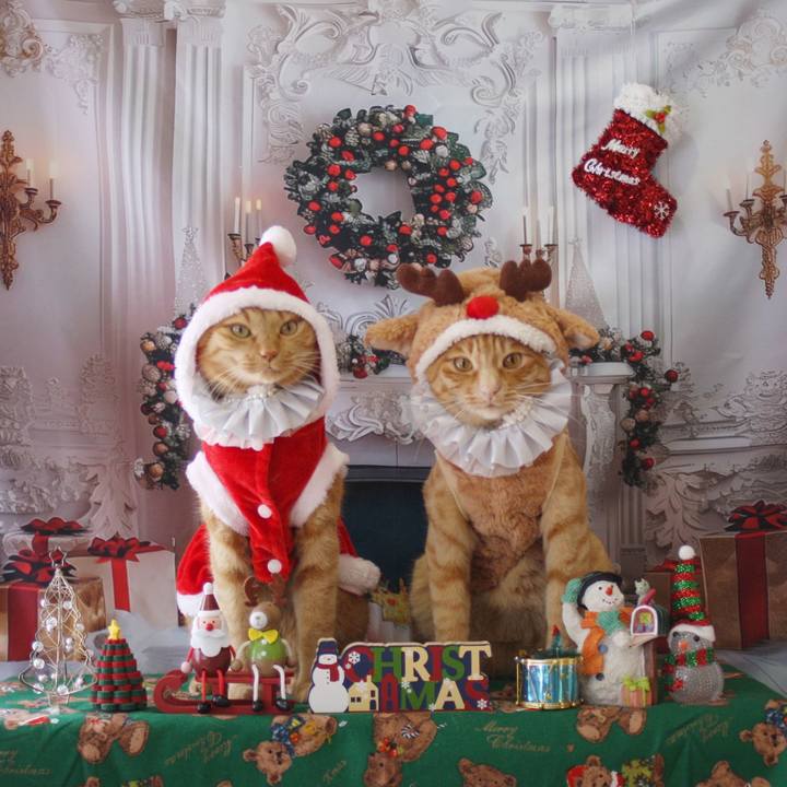 795675b4 e651 4211 91fa 8611b60279b0 1765601182967