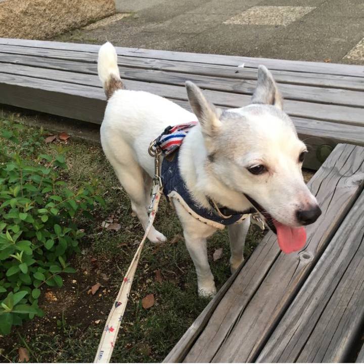 795693c6 6579 45cd b22e b96cbc76fa14 1759878647289