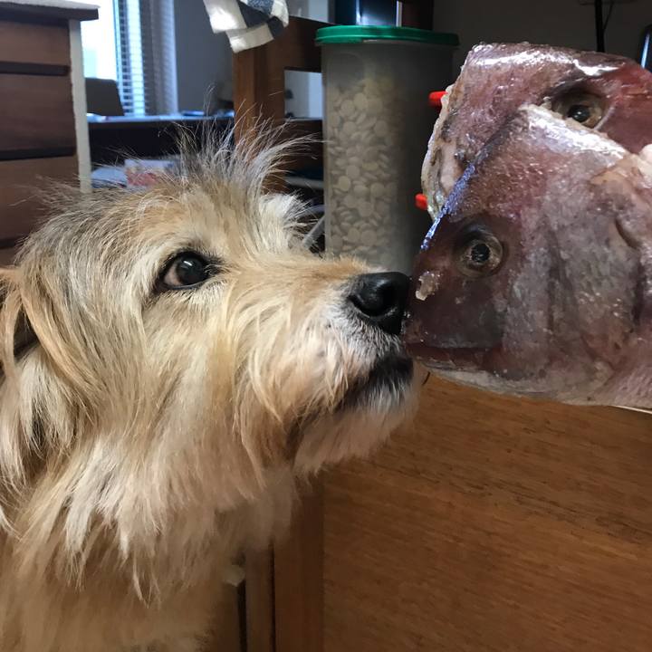 79569a42 c0b0 4ff0 9711 c245ad24cf7e 1640591569966