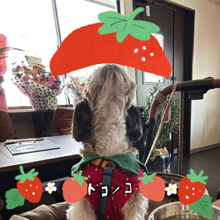 79569aee b42f 4a37 aece 56b3a34adab0 1775868197466