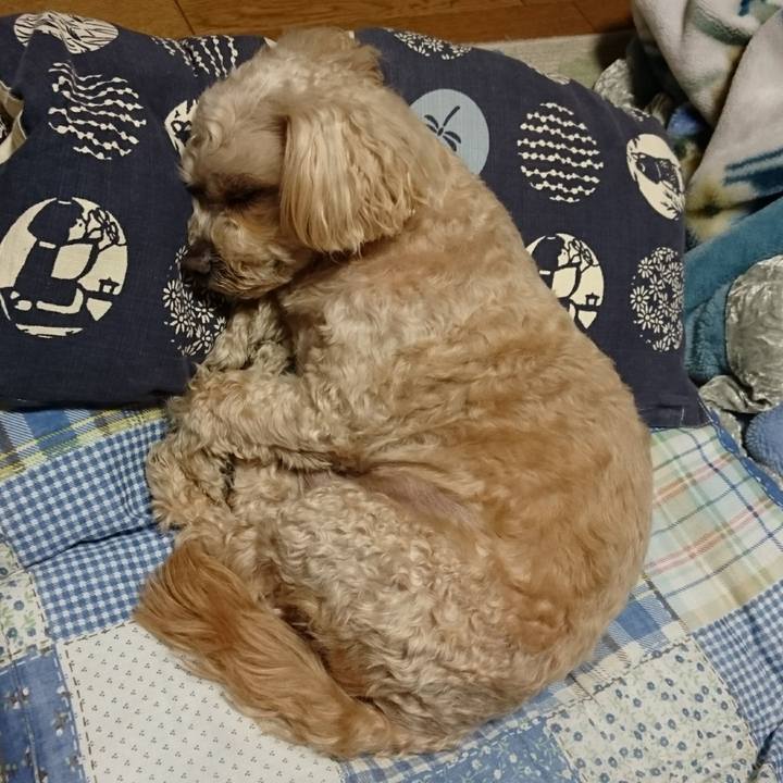 7956bd15 61b9 4631 a724 dc019b0f2f9a 1587992778137