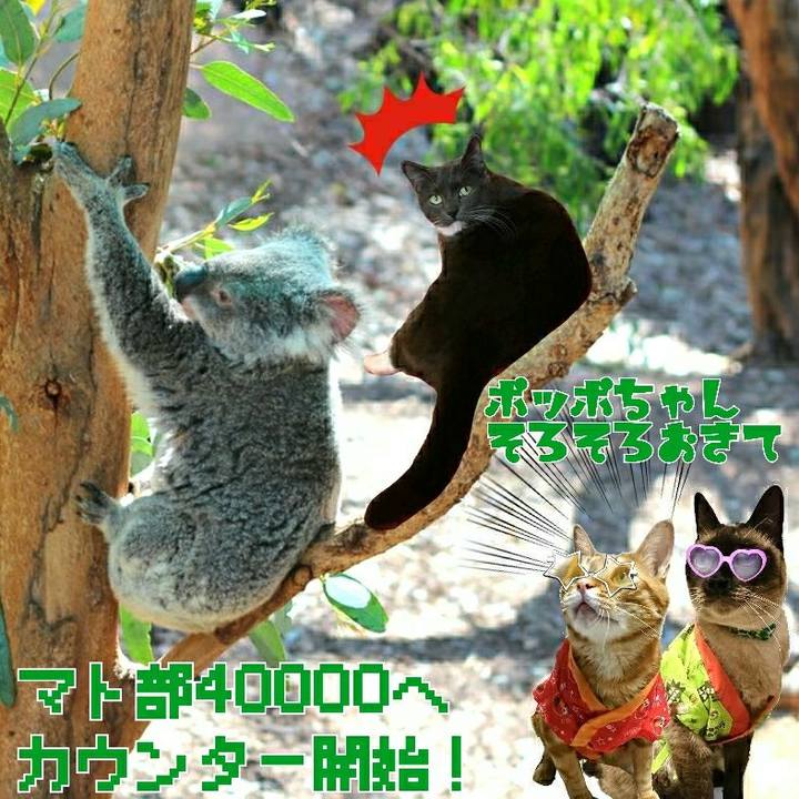 7956c0d7 985e 4983 acb3 7d84438db4ea 1555203349575