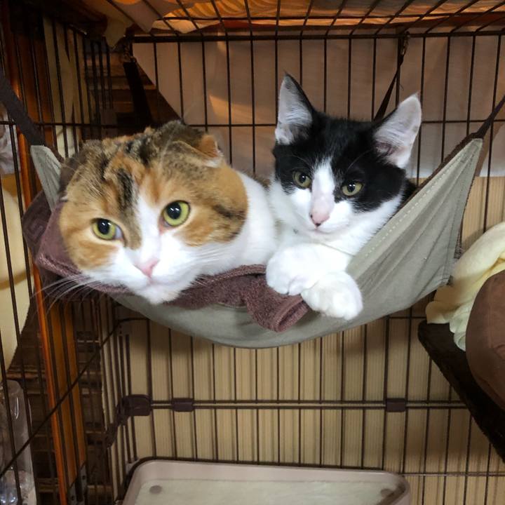 7956f47a 3aa2 4e32 92dc bce97ba09e6d 1611828362321