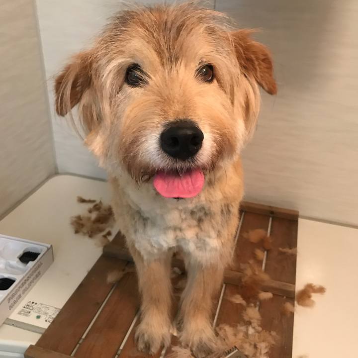 7956ff22 04a3 4270 a46f a546b149b9e7 1627454610927