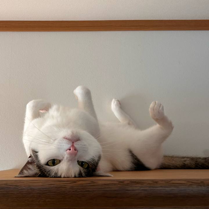 7957060a b7c3 42ed 9866 517696b63a97 1749086332617