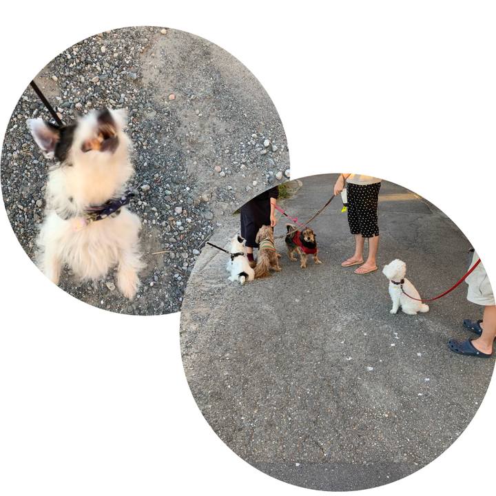 7957408b 05e0 4e53 9af8 8d483ed9a41c 1664700383693