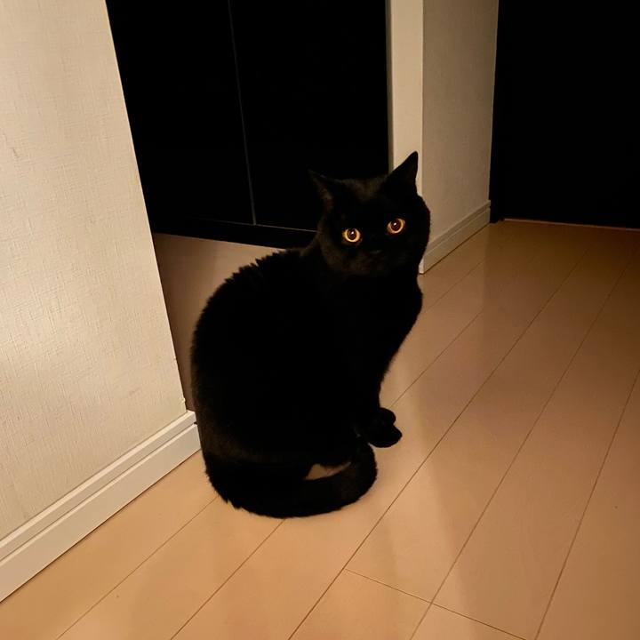 79576ce7 cbe3 44ab b549 e116a68a4429 1648128183662