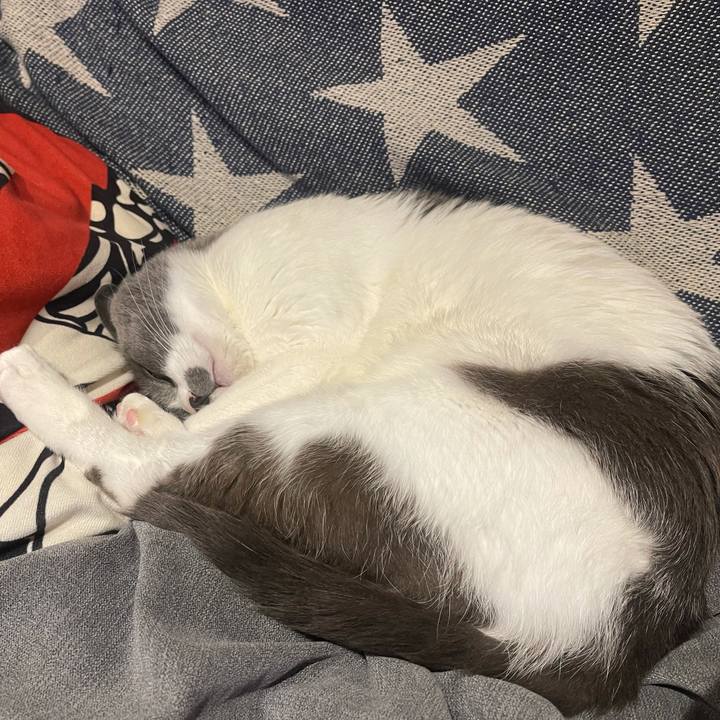 795795af 19ab 42bd ab3c d2d1b014c1c0 1646659082147