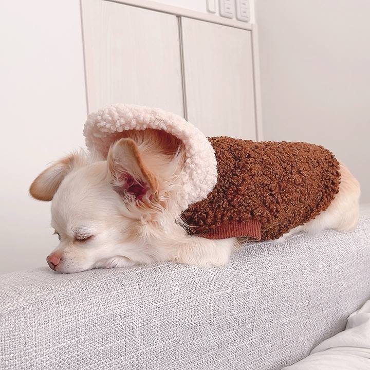 79579915 639c 4d36 adf3 77b83245af22 1702702532408