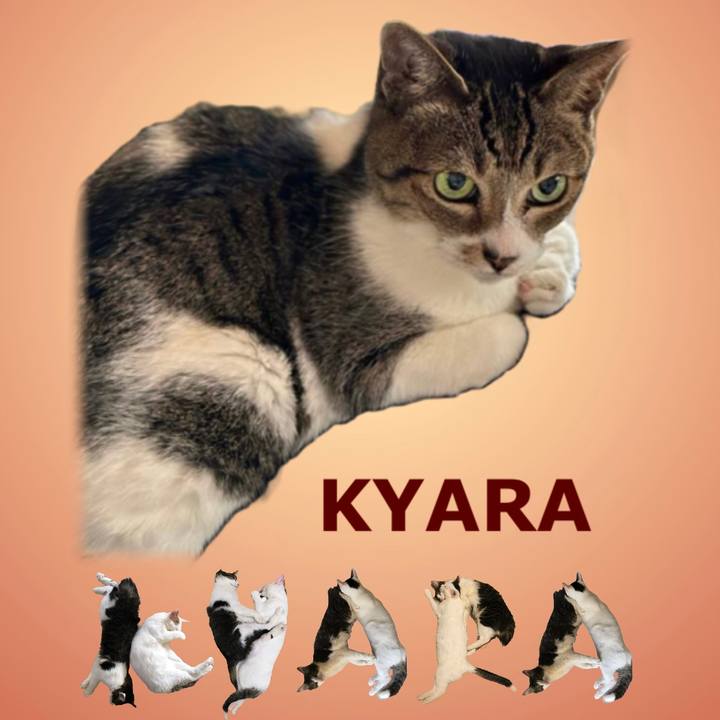 7957a9df 0428 4a14 beab 464815ff16bf 1668921767196