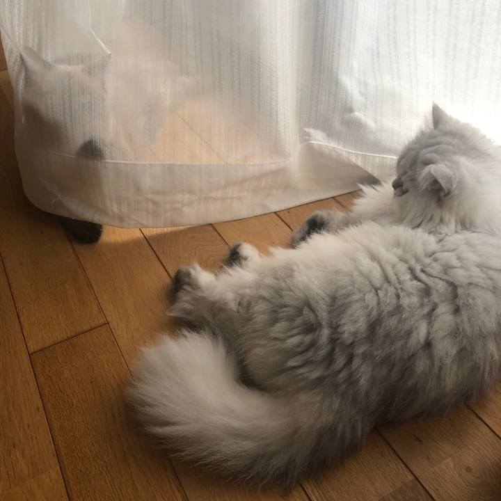 7957beca cd1c 4e58 a71e c602f27774f0 1600000269314