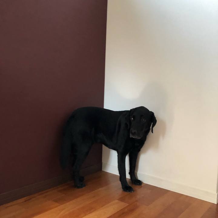 7957ce1b d09c 405d 91aa a44bc6756a06 1665450726013