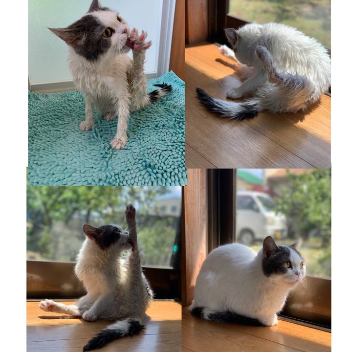 7957ecda 5463 4fe3 b30d f66aa5b90efd 1622342425035