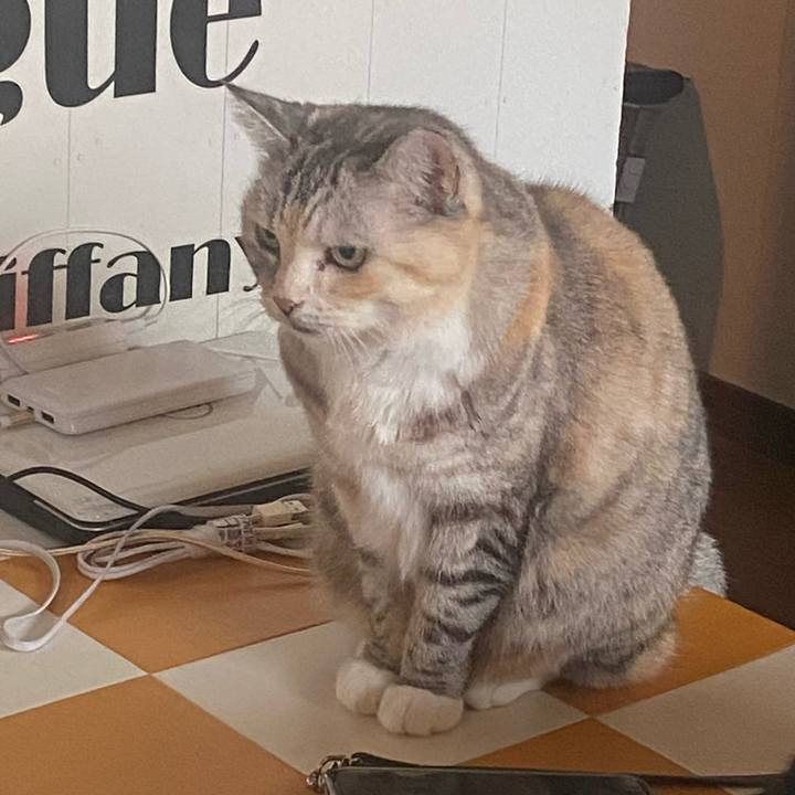 79580cb2 b6e2 47d4 9dc1 fdbf8f8c079e 1731363264128