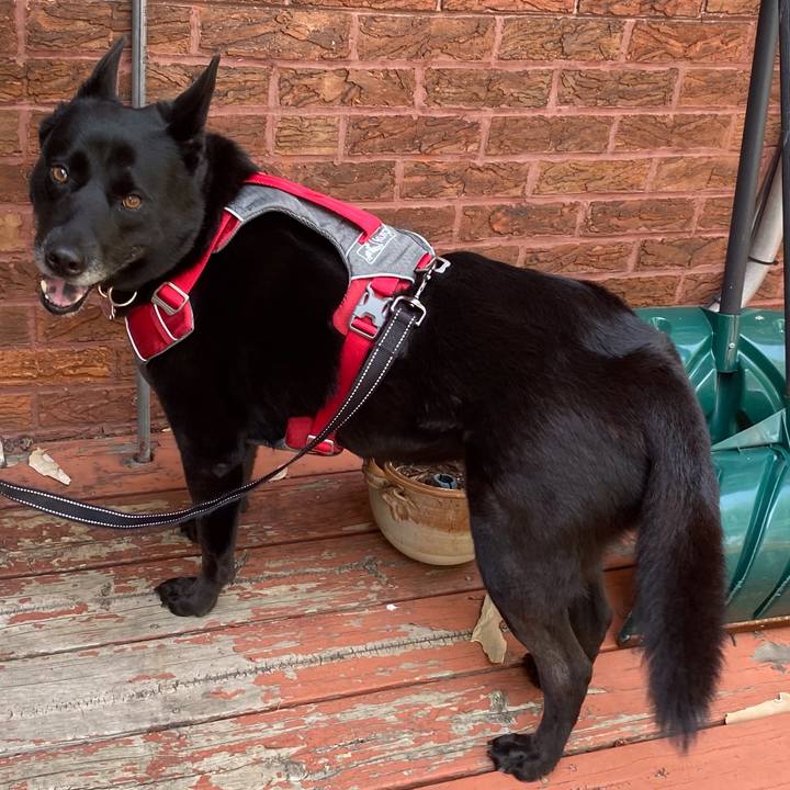 79580eed de0f 4127 8c13 fb24ab771db6 1628973918881