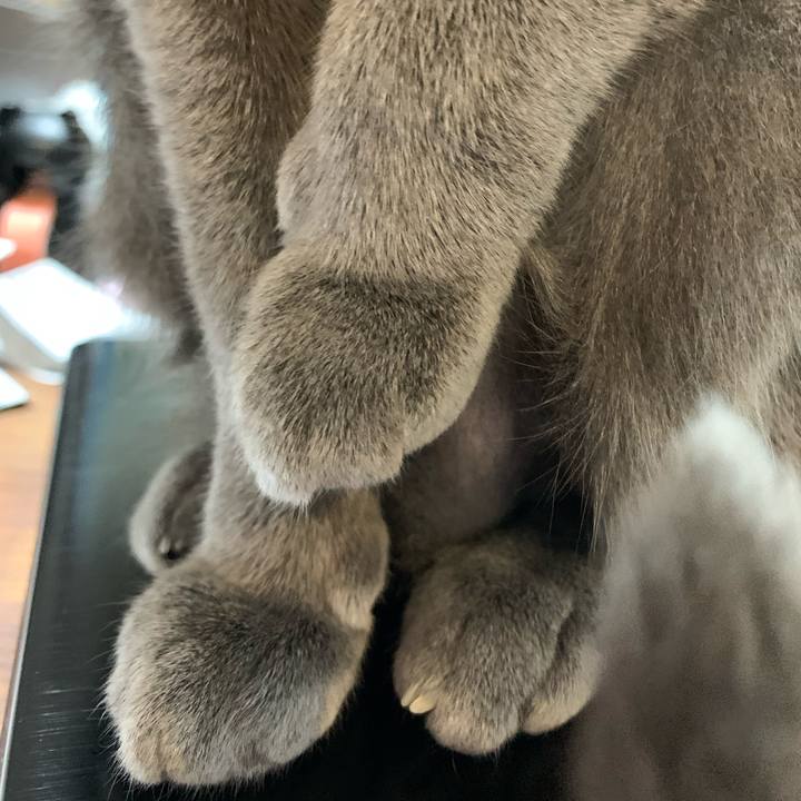 795824a0 fcd9 4328 9e28 81dd3f0fe482 1615632129752