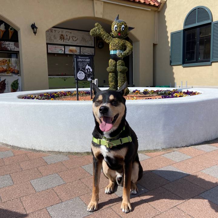 79583bc8 587a 45a1 8e28 f46c1b60661e 1644145852313