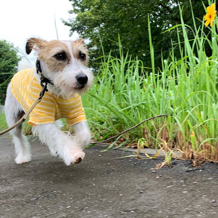 7958787f 9e99 4107 aa6f 5d2b1efb7953 1594719049415