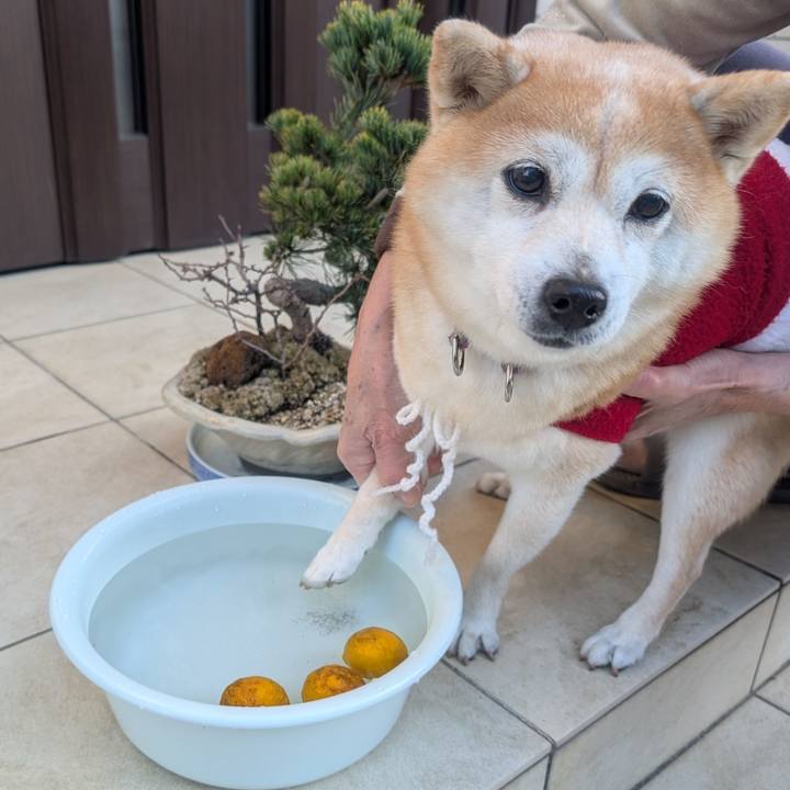 79588a9f f80a 4f9a 9821 8a15c4246dcc 1766483940151