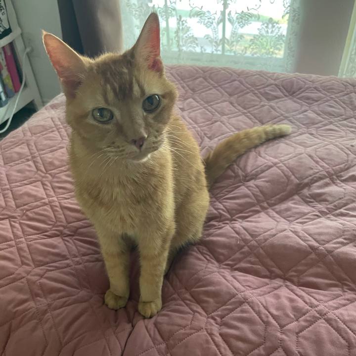 7958946a 7722 469c 87cc 16f9065c5b26 1735175245546