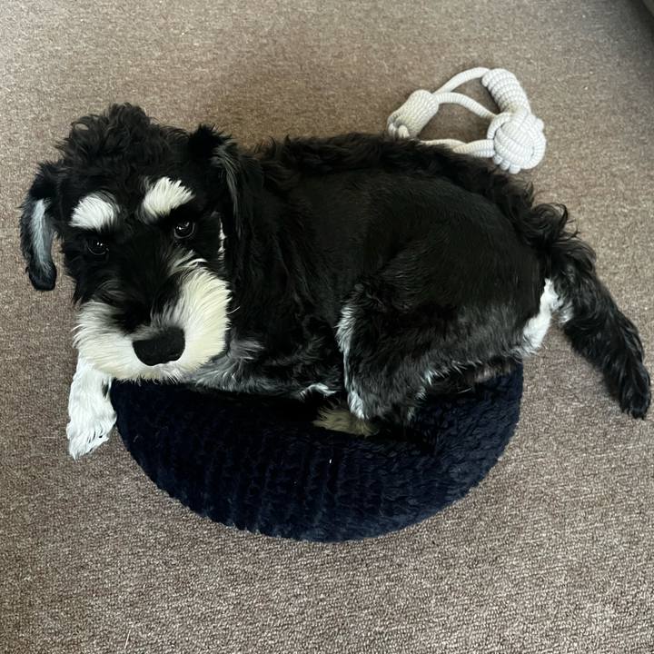 79589a41 4da9 45b7 ac6a 060ec41937a1 1766444789378