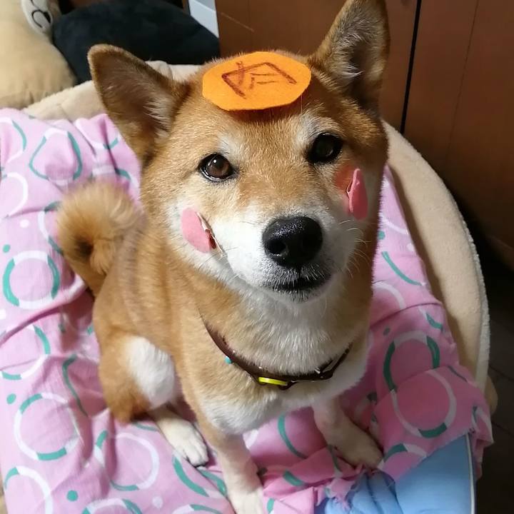 7958a79b 0dea 44be a44f 8857724b72ee 1598684720672