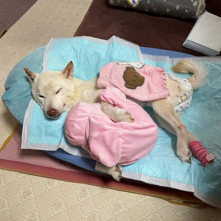 7958a7f5 8be5 4c87 84b0 2cb6962a488f 1675332026127