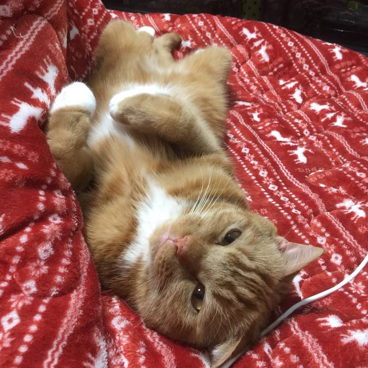 7958b975 3cc9 463c a3bf 62ead1018333 1583156277180