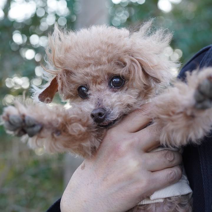 7958eb12 b1ac 4bd4 a749 f13949fa9741 1758596231630