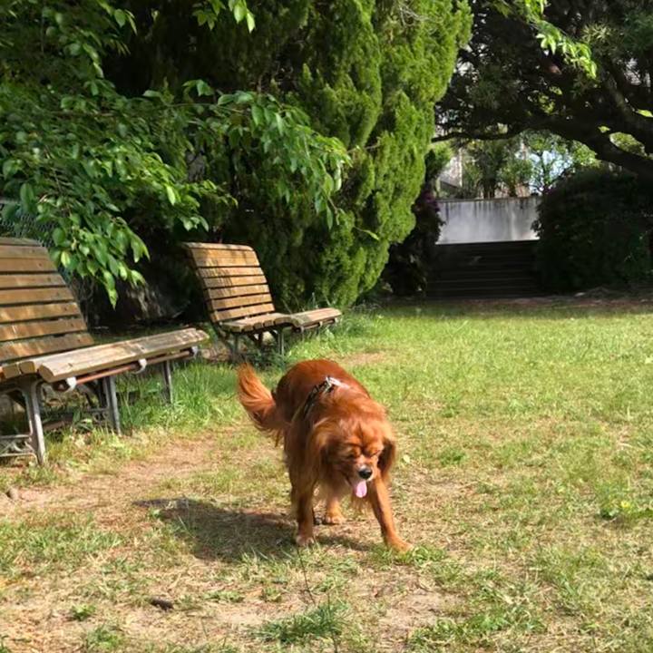 795908ab 385e 4109 a0bf 395cb3af715b 1588640274146