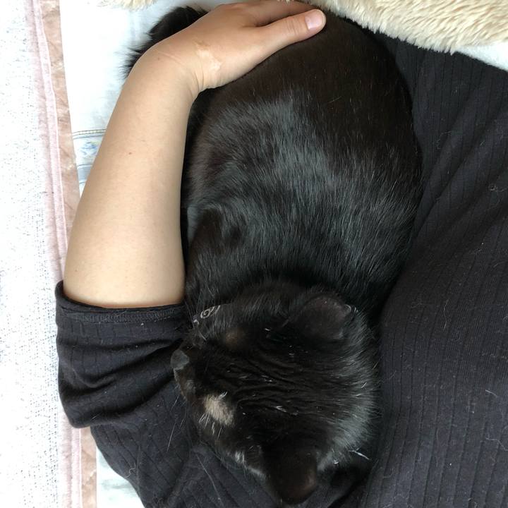 79591d1a 4882 4287 bb9b 4239d9638de8 1561151448574