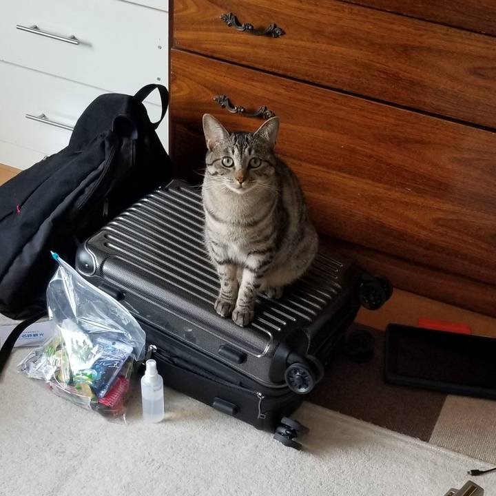 7959200f 944b 47f9 bd23 c71dd1f004cf 1692535879383