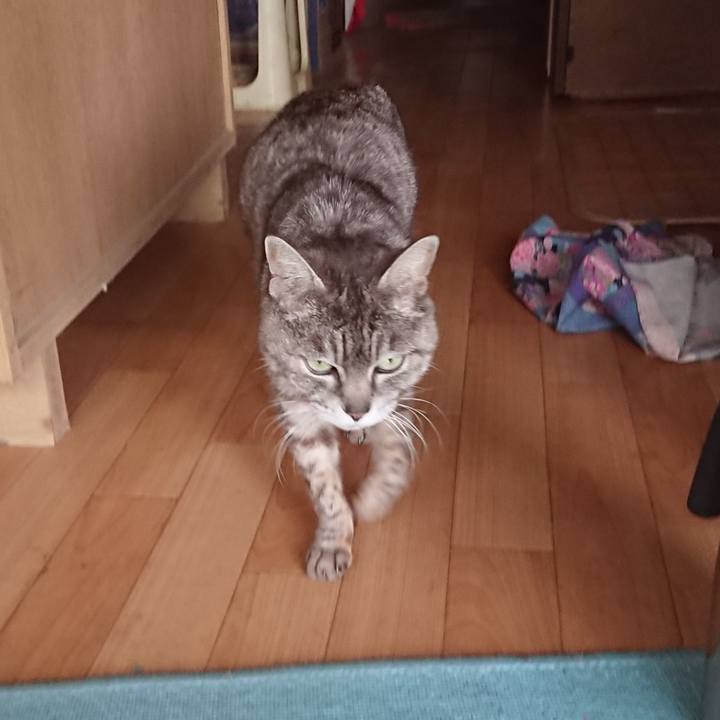 79592765 b4ec 4a5d b902 20174edd65aa 1558343077269