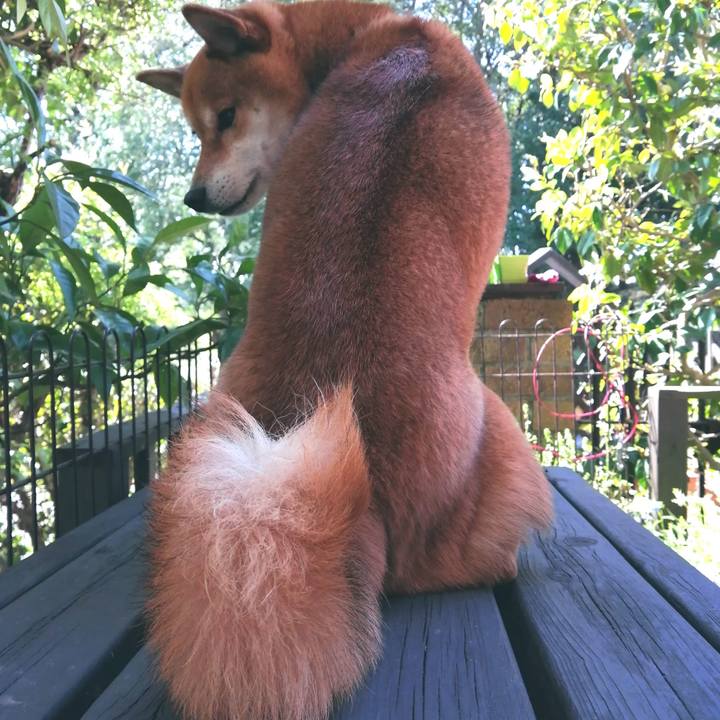 7959728f fbf1 44b1 8811 0339f5e7d07f 1586479862196