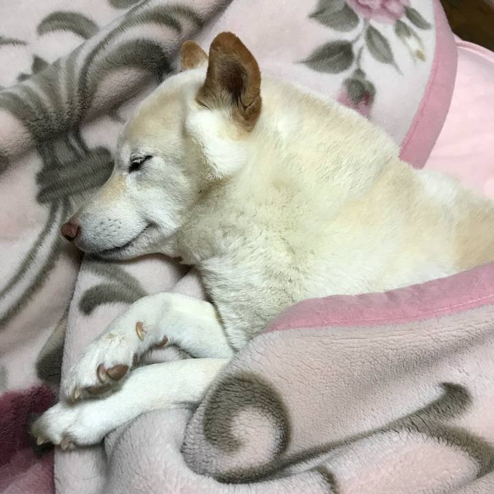 795979b5 5035 4e8e a2b9 c80febb7fd90 1634038798408