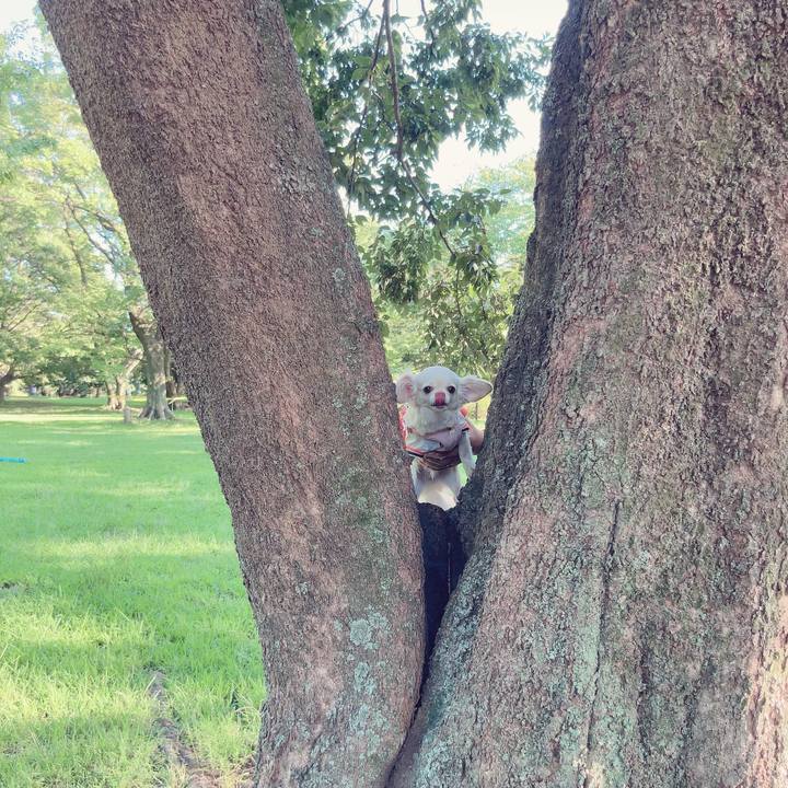 7959eb68 b7d8 4227 8f0e f81c2a7d69fb 1695033770291