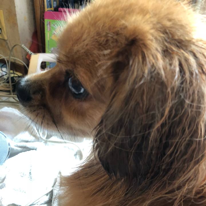 795a1b41 b2ab 427f b904 09e4a09634b3 1532561278380