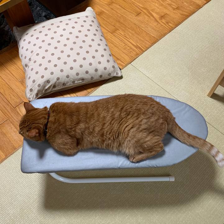 795a4535 e035 43f8 a424 f11a5a17e79e 1563505639848