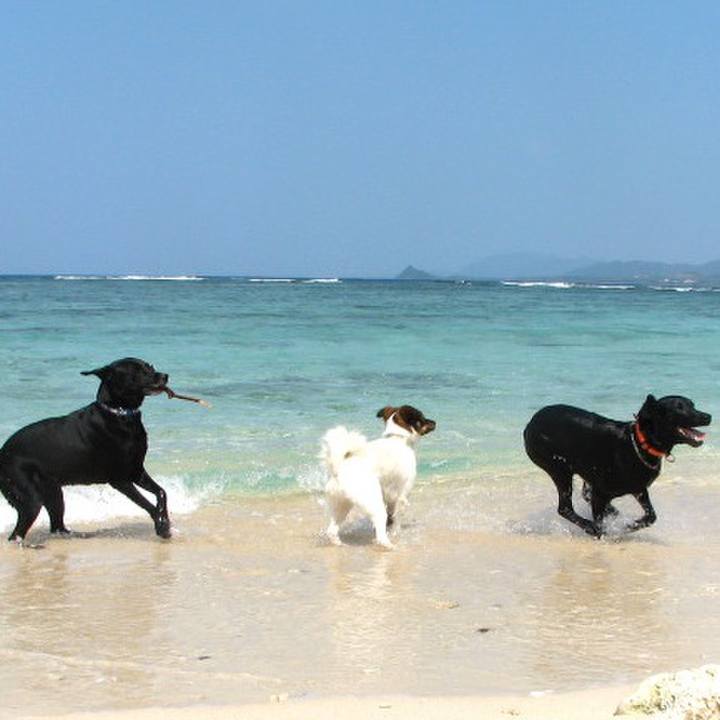 795a4a2c 4ce1 4cf6 9cfc 17b9eab33d70 1519092875461