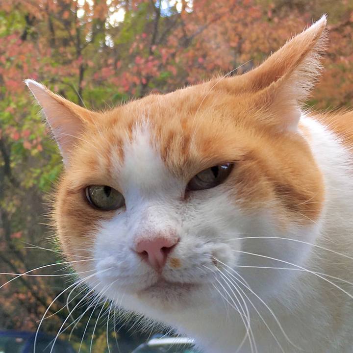 795a7fcd 2e62 4855 8558 ae8e3bdb9e3f 1574419635639