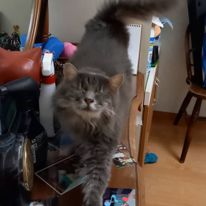 795abeb8 3d96 49d4 af8f 1f28d9472fdc 1602460169938