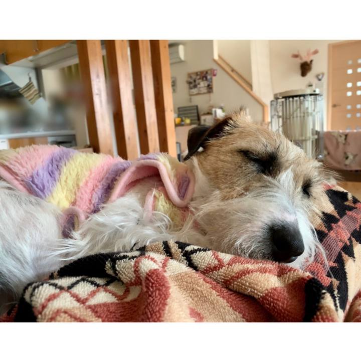 795ac70c d011 4ec2 a617 d34d992a63c9 1611639463664